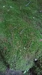 2019062911164201.jpg