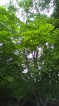 2019062911163001.jpg