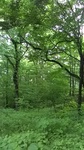 2019071211403201.jpg