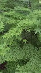 2019071211251201.jpg