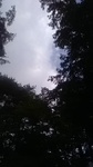 2019072915422801.jpg