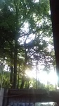 2019073106073901.jpg
