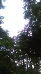 2019073106073001.jpg