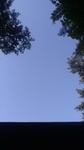 2019073106074901.jpg