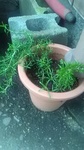 2019072214471001.jpg