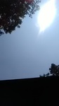 2019080312442201.jpg