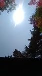 2019080312442601.jpg