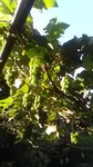 2019080606080401.jpg