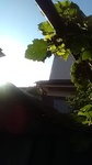 2019080606075601.jpg
