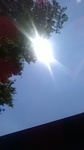 2019080911152501.jpg
