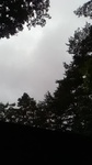2019081411102301.jpg