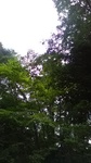 2019081511453101.jpg