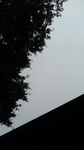 2019081511453801.jpg