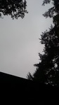 2019081511454201.jpg
