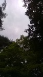 2019081812180301.jpg