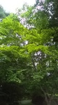 2019081812180801.jpg