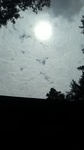 2019081812181401.jpg