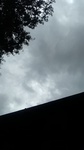 2019082912392501.jpg