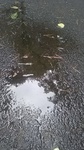 2019083011134101.jpg