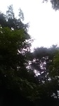 2019083011134901.jpg