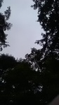 2019091812175601.jpg