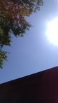 2019091912275901.jpg