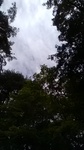 2019092011310501.jpg