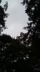 2019092811124601.jpg