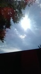 2019092911144301.jpg