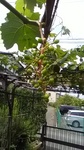 2019060409430301.jpg