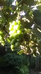 2019080606081101.jpg