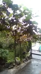 2019102914105801.jpg