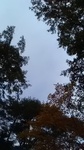 2019103008415801.jpg