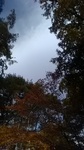 2019110311290301.jpg