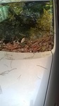2019110712134201.jpg