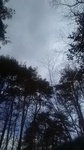 2019112811140901.jpg