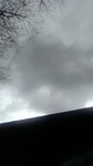 2019112811141501.jpg