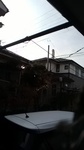 2019121109394001.jpg
