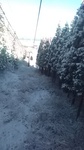 2019122909320901.jpg