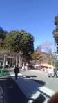 2020011011203001.jpg