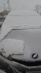 2020012109331801.jpg