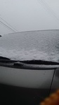 2020031612454101.jpg