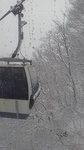 2020032909341201.jpg