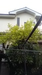 2020042807054701.jpg