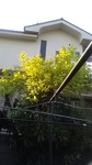 2020043006402401.jpg