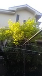 2020050206380501.jpg