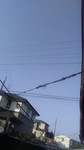 2020050206381001.jpg