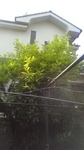 2020050507270701.jpg