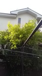 2020050806435501.jpg