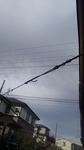 2020050806440101.jpg